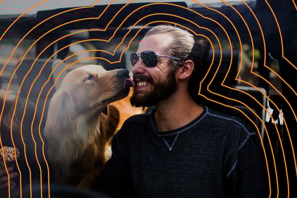 Man's best friend
